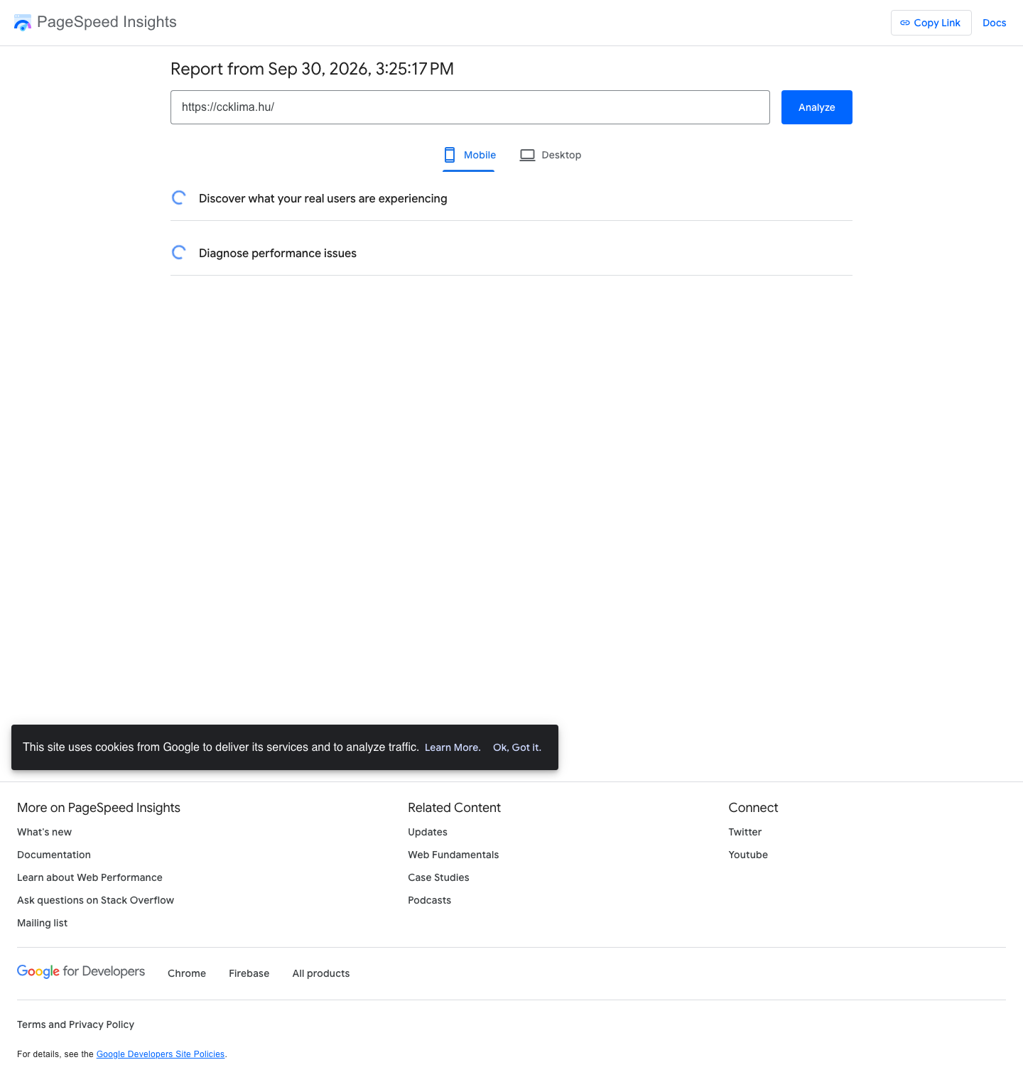 A nem befejeződött PageSpeed felület. Nem mérési eredmény.
